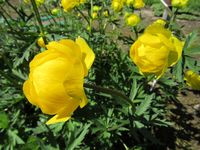 IMG_0857.jpg