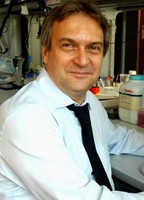 prof. Alessandro Vercelli