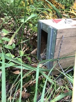inspekcja_pulapek_Mazury_2018.jpg