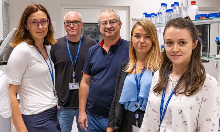 (From the left) leader of the biobanking group Natalia Filipowicz, Ph.D.; deputy head of the IRA unit Prof. Arkadiusz Piotrowski, Ph.D.; head of the IRA unit Prof. Jan Dumański, Ph.D; IRA project coordinator Agata Wojdak M.A.; biobanking technician Kinga Drężek M.A.