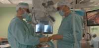 Marek Rocławski Ph.D., Rafał Pankowski M.D., Ph.D., D.Sc.