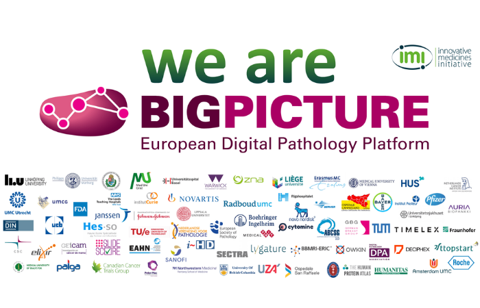 BIGPICTURE_TŁO.png